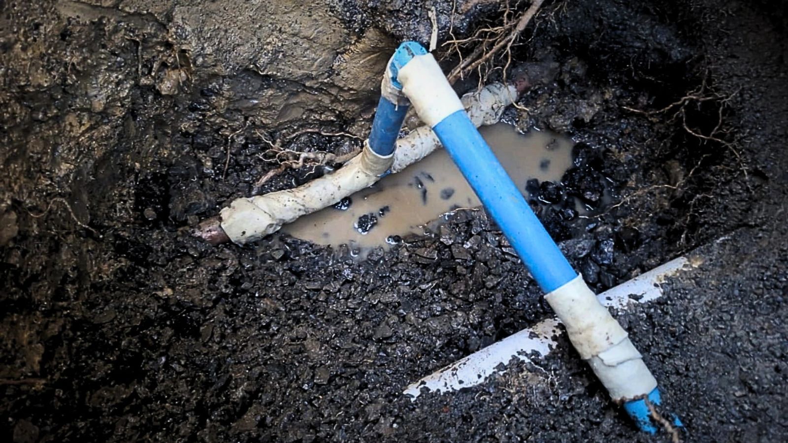 Water Leak Repairs Tauranga
